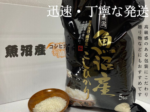 【新米】令和4年産 魚沼産コシヒカリ 10kg　農家のお米
