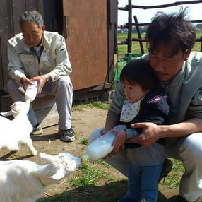 メイちゃん農場