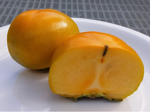 【種なし柿】極早生品種(3㎏冷蔵便)和歌山産