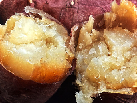 【まるでスイーツ！な絶品やきいも】カーボン釜で焼いた濃密な甘さ！自家栽培シルクスイートの焼き芋 クール冷蔵便でお届け