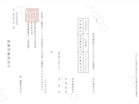 〈メール便〉生命力溢れる 小麦全粒粉 450g【無肥料・栽培期間中農薬不使用 自然栽培 天日干し】