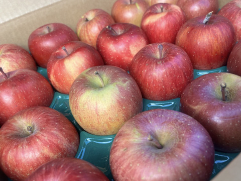 《予約商品》1月中旬～ 訳あり 極小玉 サンふじ 5キロ箱 23～25玉