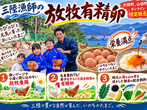 岩手県産 三陸漁師の放牧有精卵 24個 国産もみじ 平飼い放牧 さんりく