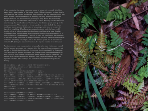 サイン本 『 Flow, Circulate And Shape 2 』書籍 加茂自然農園 山崎徳哉 著