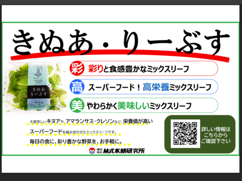 スーパーフード！スーパーリーフミックス！『きぬありーぶす』 50ｇ×8袋スーパーフードの葉を組み合わせ！たっぷり約1週間分のサラダ野菜として！新鮮！さわやか！おいしい！
