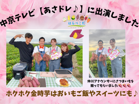 中京テレビ【あさドレ♪】紹介【ホックホク金時】1.8kg！笑顔ホッコリ♪簡単レシピつき