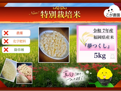 のん商品　準自然米　福岡県産「夢つくし」令和6年産　玄米20kg 準自然米 大好評の福岡県産「夢つくし」令和7年産 玄米5kg：福岡