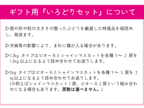 贈り物におすすめ‼岡山県産『シャインマスカット＆ピオーネ』いろどりセット＜ギフト用2kg＞