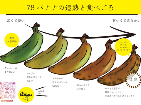 もっちり食感！島バナナ【2kg】