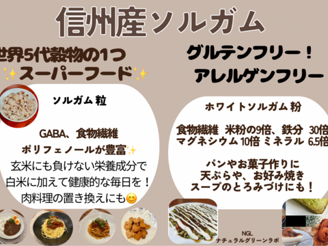 令和5年度収穫 信州産 ホワイトソルガム粉 400ｇ ソルガム粉 粉もの グルテンフリー アレルゲンフリー 小麦粉のかわり お菓子 材料 無添加 農薬不使用 たかきび 長野県産 栄養豊富 粉