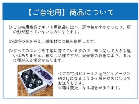 果汁たっぷり！岡山のぶどう『ピオーネ』約２ｋｇ
