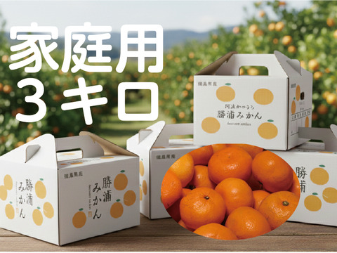 【寒い冬にどうぞ】今が一番おいしい中生みかん（家庭用）3kg｜勝浦町産