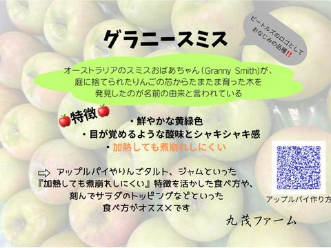 甘くない贅沢！これぞグラニースミス３㎏（７～１２玉）
