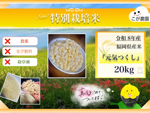 農薬・除草剤・化学肥料不使用 福岡県産「元気つくし」令和8年産 玄米