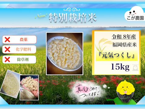 農薬・除草剤・化学肥料不使用 福岡県産「元気つくし」令和8年産 玄米