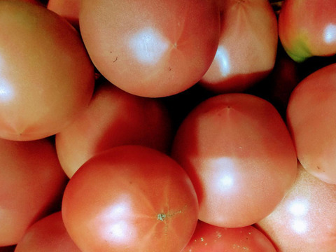 ５箱限定！【お試し価格】南信州お野菜とトマトジュースのセット(４品+１本)