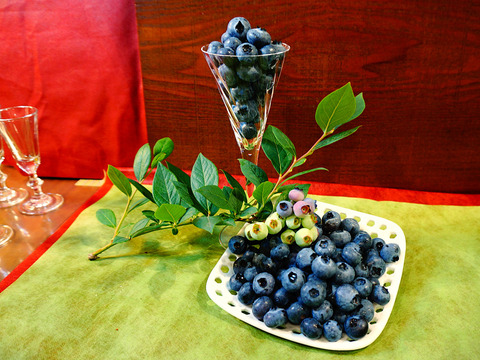 ほおばって！ブルーベリーMIX（500g・品種&サイズ混合）