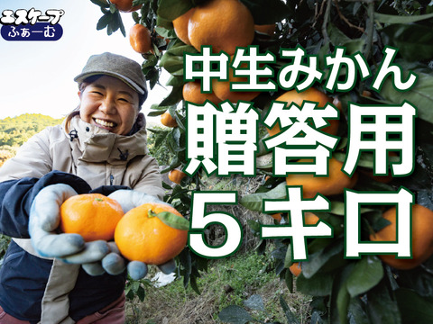 【濃厚な味わい】今が一番おいしい中生みかん（秀品 5kg）｜勝浦町産