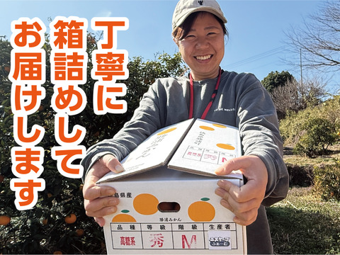 勝浦産 貯蔵みかん（青秀）5kg｜徳島県勝浦町