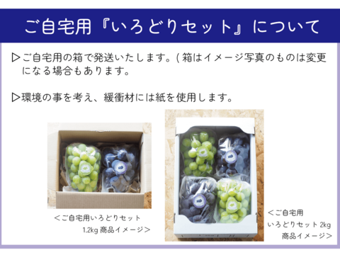 どちらも食べたい‼岡山県産『シャインマスカット＆ピオーネ』いろどりセット＜ご自宅用2kg＞