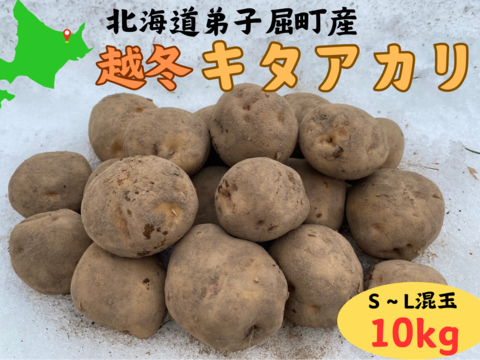 北海道の越冬ジャガイモ！『キタアカリ』(10kg)