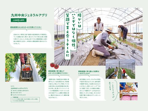 ジュワッと広がる旨み！寒暖差熟成"甲佐町産ミニトマト" (2kg)