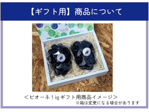 ギフトにおすすめ！岡山のぶどう『ピオーネ』約１ｋｇ