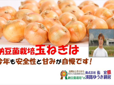 数量限定品！！　納豆菌（残留農薬不検出）淡路島産玉ねぎ　10ｋｇ
