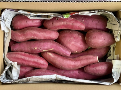 訳ありでもシットリ甘い！「シルクスイート」色々なサイズ入り  5キロ箱