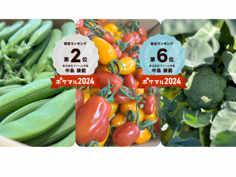 旬の贅沢野菜セット❗️【フラガールミニトマト×スジナインスナップ×ブロッコリー】Sサイズ