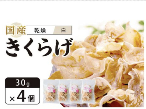 【お鍋にどうぞ】プリプリしっとり☆徳島県産乾燥きくらげ白30g×4