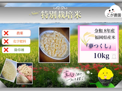 農薬・除草剤・化学肥料不使用 福岡県産「夢つくし」令和8年産 玄米