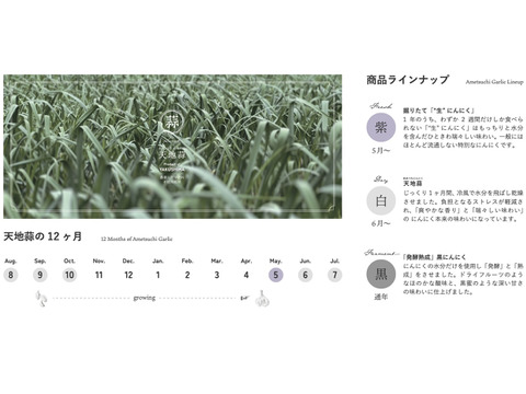 【春限定】今が旬の「生」にんにく250g【屋久島産】