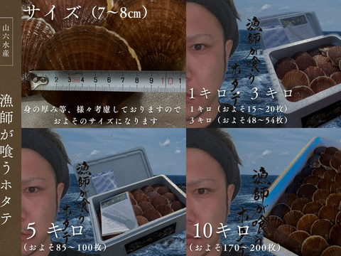 これが本物！漁師が喰うホタテ【５㎏】ヘラ付