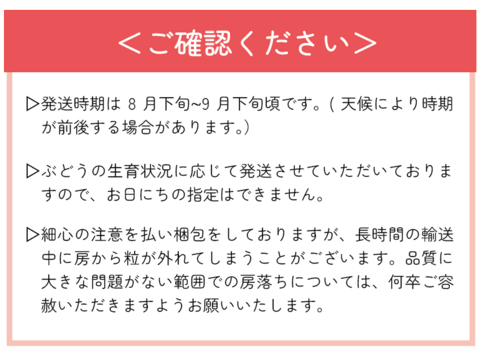 果汁たっぷり！岡山のぶどう『ピオーネ』約２ｋｇ