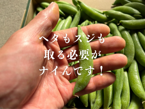 朝採り新鮮❗️甘くてシャキシャキッ❗️『おのんすなっぷえんどう』2kg