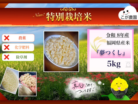 令和7年産 福岡県産 夢つくし 玄米 5kg×2（10キロ）【農薬不使用】真空 農薬・除草剤・化学肥料不使用 福岡県産「夢つくし」令和8年産 玄米5kg