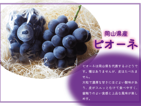 ギフトにおすすめ！岡山のぶどう『ピオーネ』約２ｋｇ