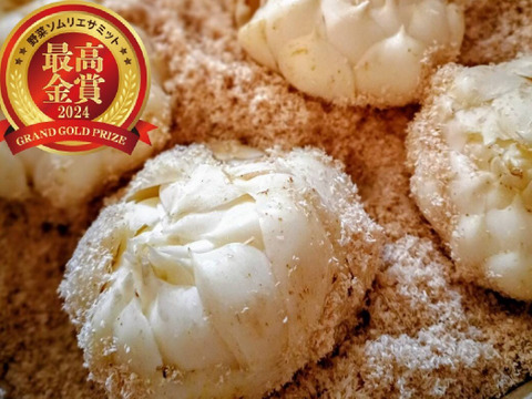 野菜ソムリエサミット最高金賞受賞！『幻のゆり根 月光』２Ｌサイズ・7個(約1㎏)