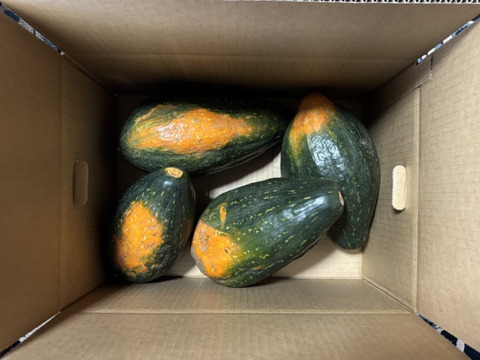 【サラダカボチャ】訳あり　有機かぼちゃ　万次郎生まるごと　４個入（約8.4kg）