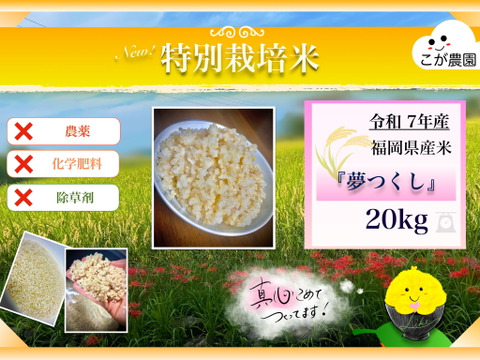せぬせ商品　準自然米　福岡県産「夢つくし」令和6年産　玄米20kg 準自然米 大好評の福岡県産「夢つくし」令和7年産 玄米20kg
