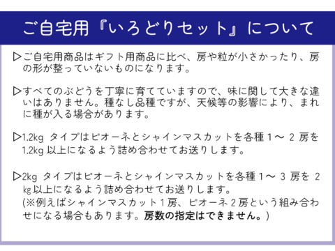 どちらも食べたい‼岡山県産『シャインマスカット＆ピオーネ』いろどりセット＜ご自宅用2kg＞