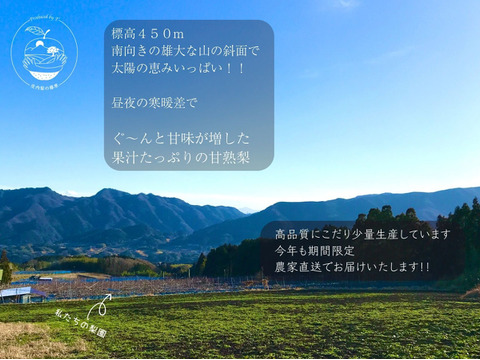 【幸水3kg箱いっぱい】【家づかい用】甘さダントツ一番！太陽の恵みいっぱい！庄内甘熟梨