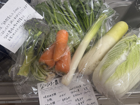 [なゆた農場]冬野菜たっぷり鍋野菜セットSサイズ（8袋分）