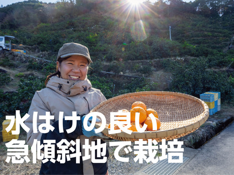 今が食べ頃♫　勝浦産 貯蔵みかん（ご家庭用）10kg｜徳島県勝浦町