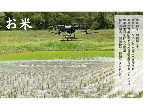 【令和７年産】栽培期間中農薬不使用　コシヒカリ　玄米　3kg