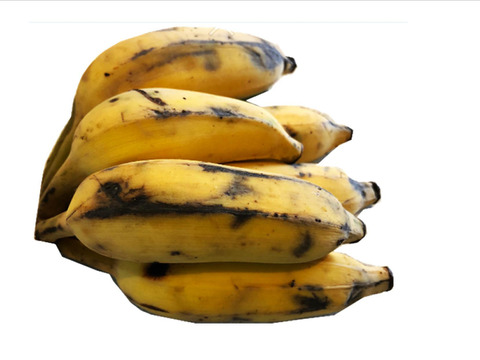【今だけ特別価格からさらに値下げ！】大人気！ブラジルバナナ＆ナムワバナナ計１kg