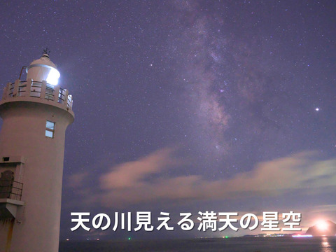 【12月発送】☆初めての方限定☆少量お試し☆超濃厚ミニトマト　400g　家庭用　
プチトマト
