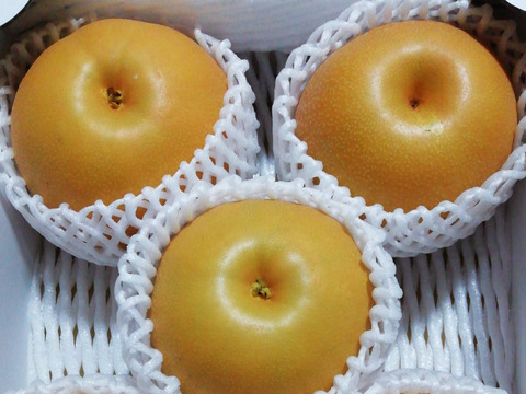 樹上完熟和梨「あきづき」2kg【直送便】