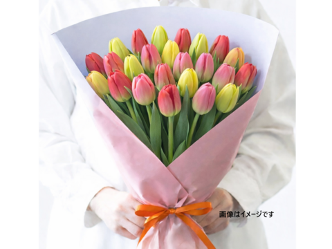 ラッピングチューリップ　20本束（花色おまかせ）　　※北海道・沖縄県配送不可※